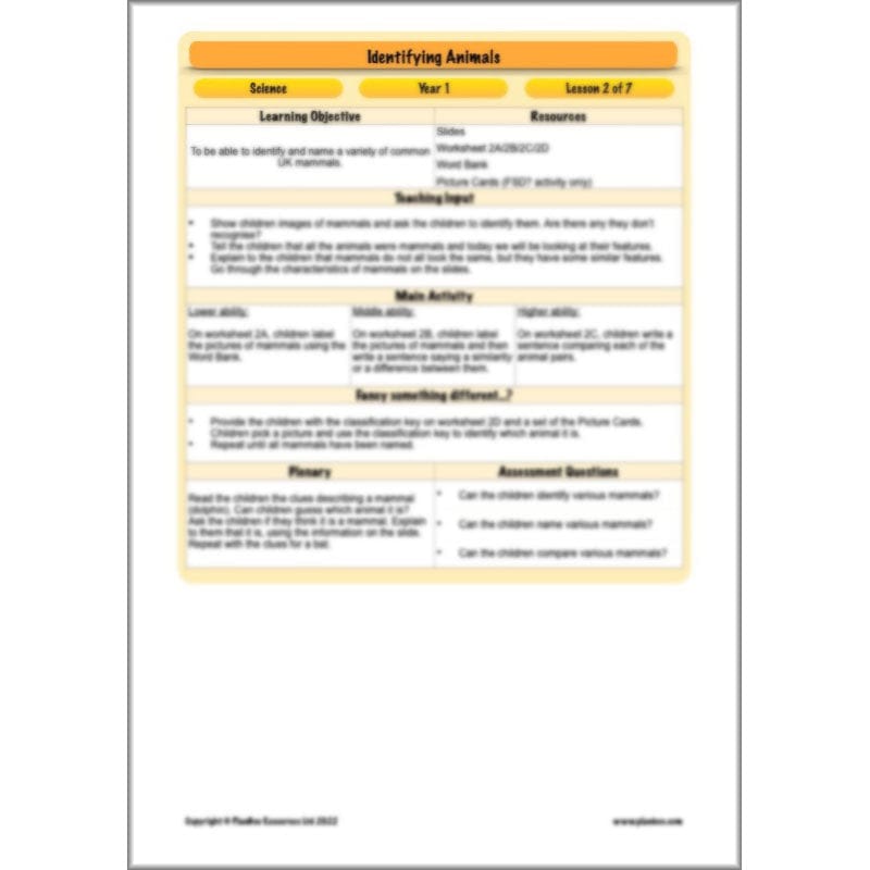 PlanBee Animals Year 1 | Science Lessons KS1 by PlanBee