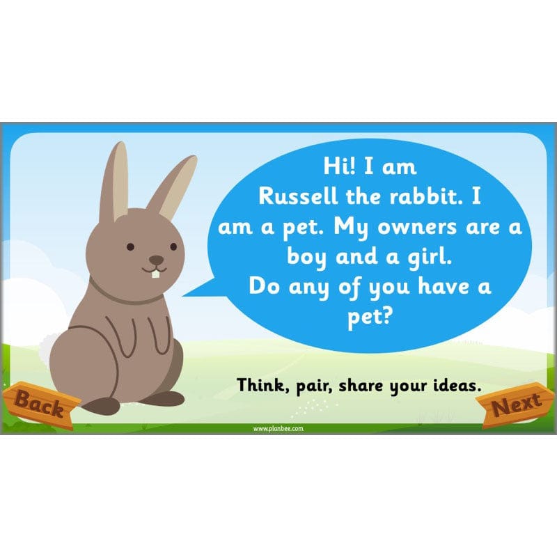 PlanBee Animals Year 1 | Science Lessons KS1 by PlanBee