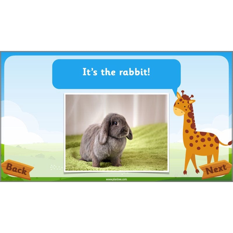 PlanBee Animals Year 1 | Science Lessons KS1 by PlanBee