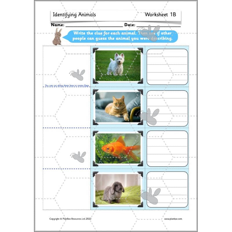 PlanBee Animals Year 1 | Science Lessons KS1 by PlanBee