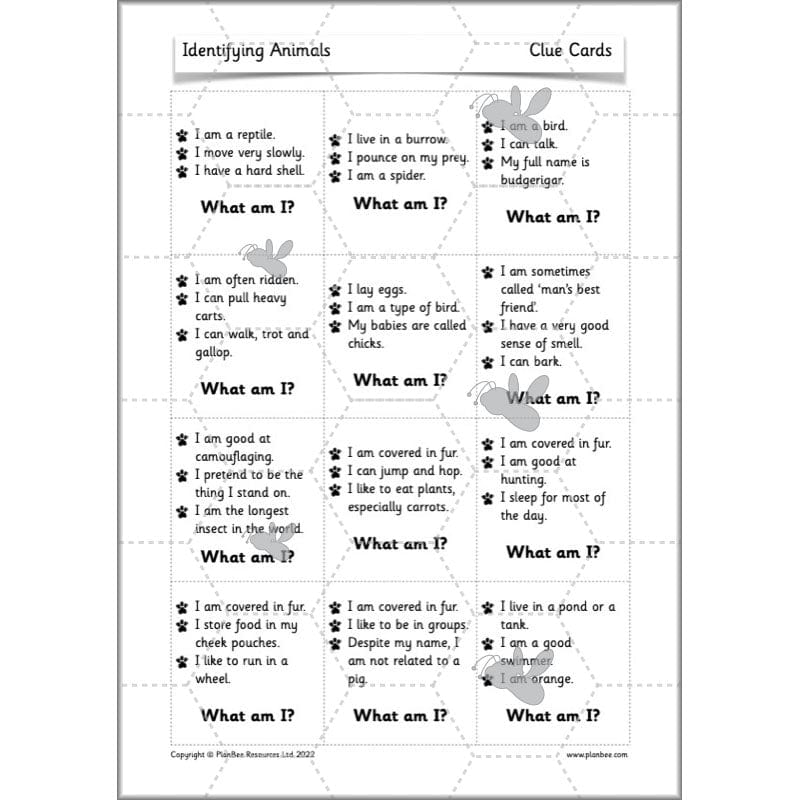 PlanBee Animals Year 1 | Science Lessons KS1 by PlanBee