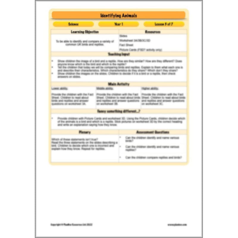 PlanBee Animals Year 1 | Science Lessons KS1 by PlanBee