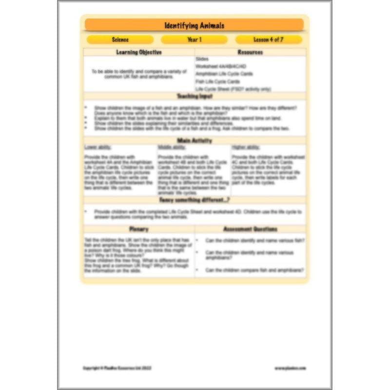 PlanBee Animals Year 1 | Science Lessons KS1 by PlanBee