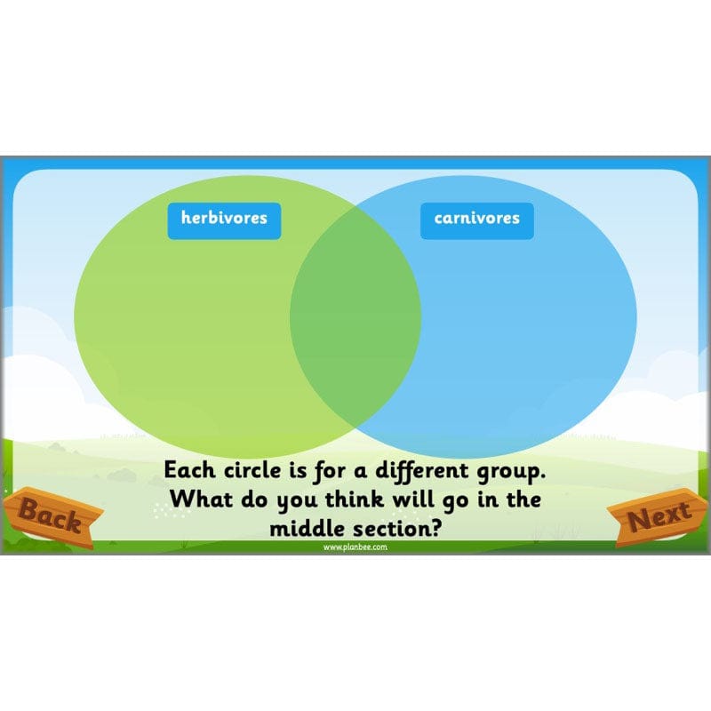 PlanBee Animals Year 1 | Science Lessons KS1 by PlanBee