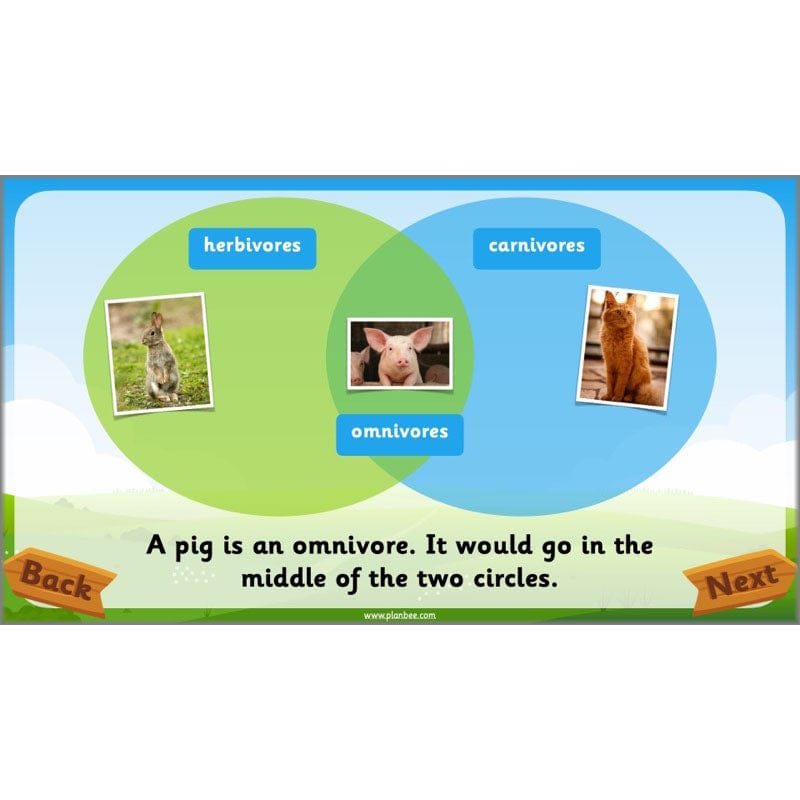 PlanBee Animals Year 1 | Science Lessons KS1 by PlanBee