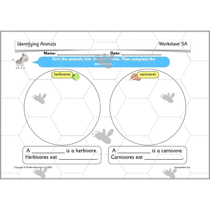 PlanBee Animals Year 1 | Science Lessons KS1 by PlanBee