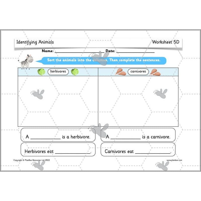 PlanBee Animals Year 1 | Science Lessons KS1 by PlanBee