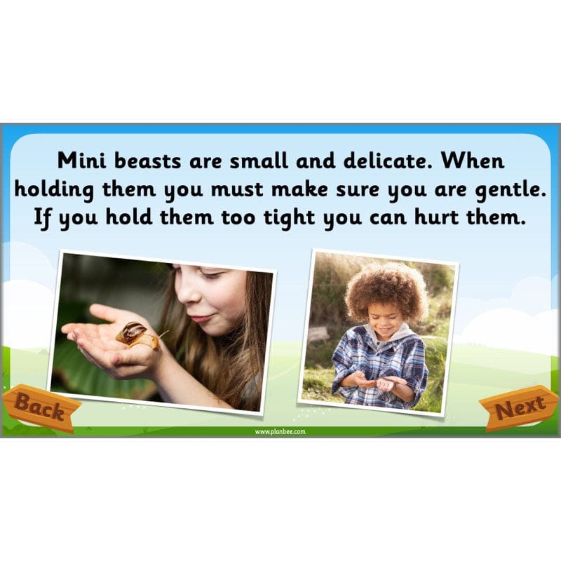 PlanBee Animals Year 1 | Science Lessons KS1 by PlanBee