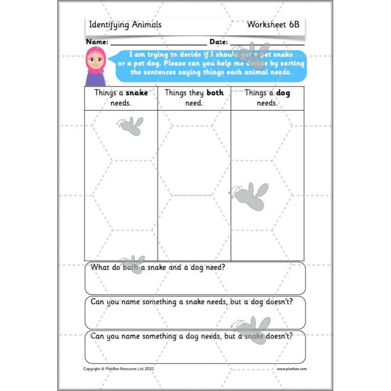 PlanBee Animals Year 1 | Science Lessons KS1 by PlanBee