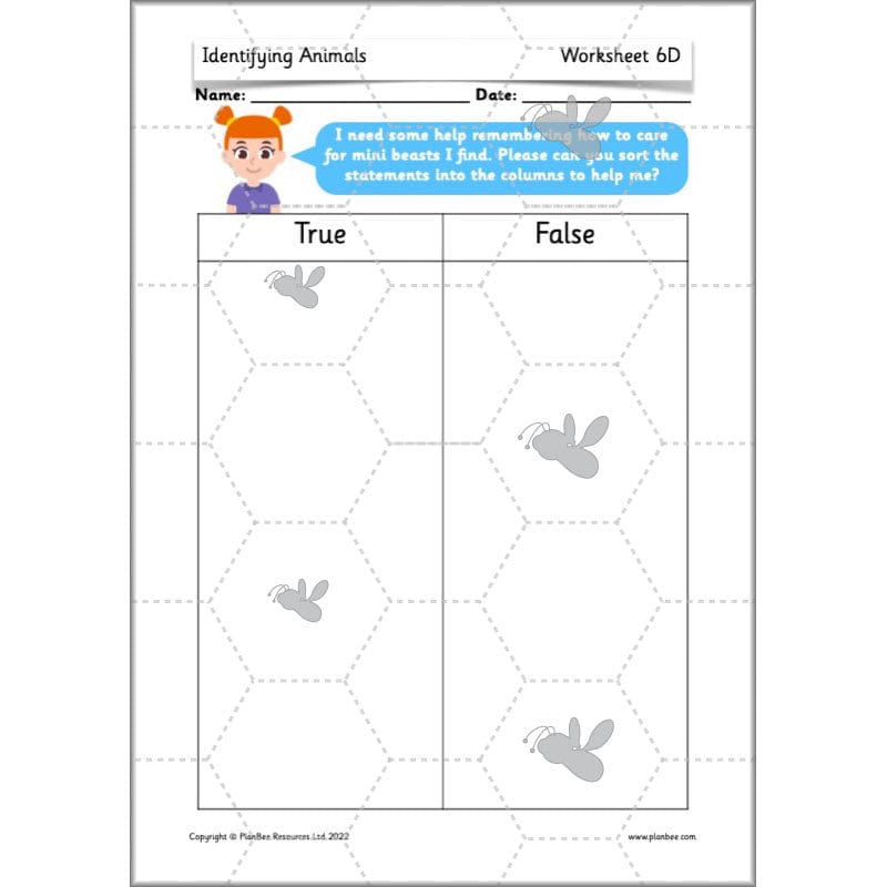 PlanBee Animals Year 1 | Science Lessons KS1 by PlanBee