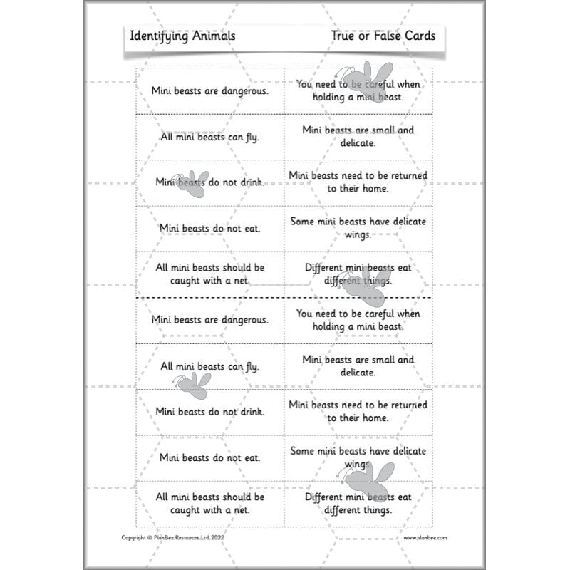 PlanBee Animals Year 1 | Science Lessons KS1 by PlanBee