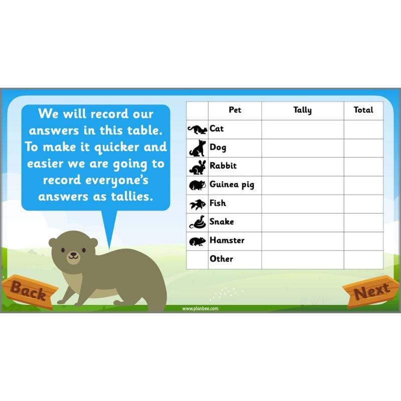 PlanBee Animals Year 1 | Science Lessons KS1 by PlanBee