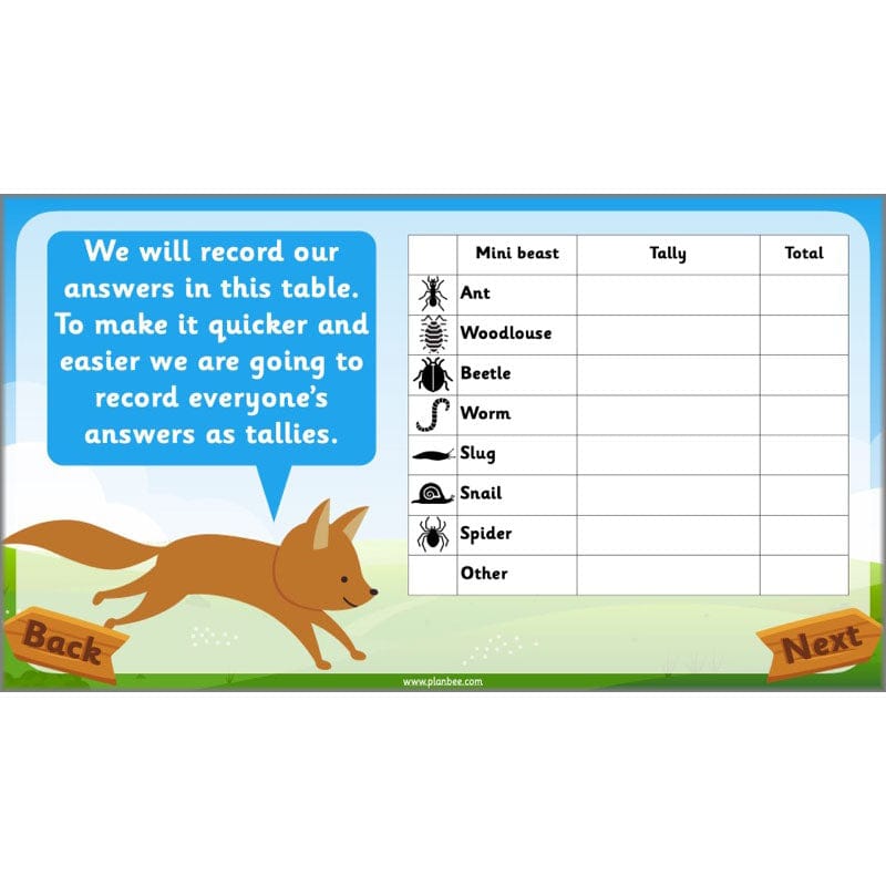 PlanBee Animals Year 1 | Science Lessons KS1 by PlanBee