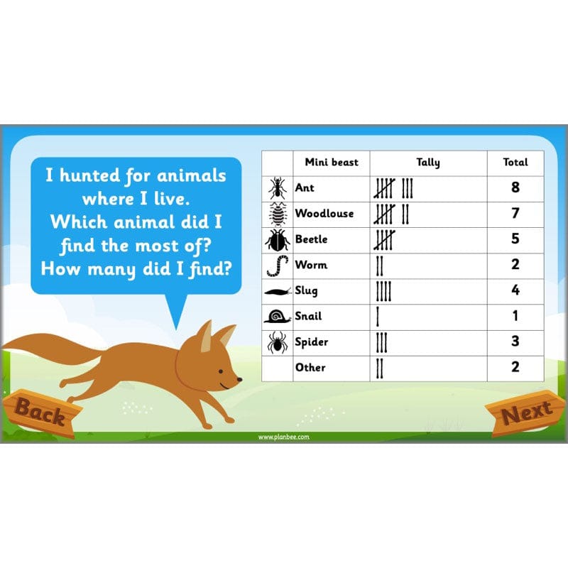 PlanBee Animals Year 1 | Science Lessons KS1 by PlanBee