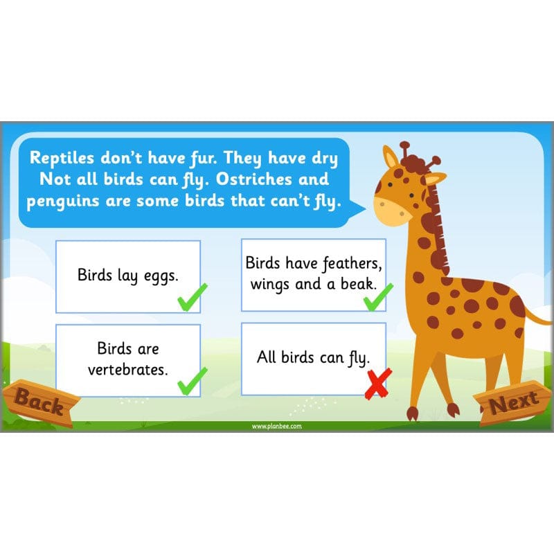 PlanBee Animals Year 1 | Science Lessons KS1 by PlanBee
