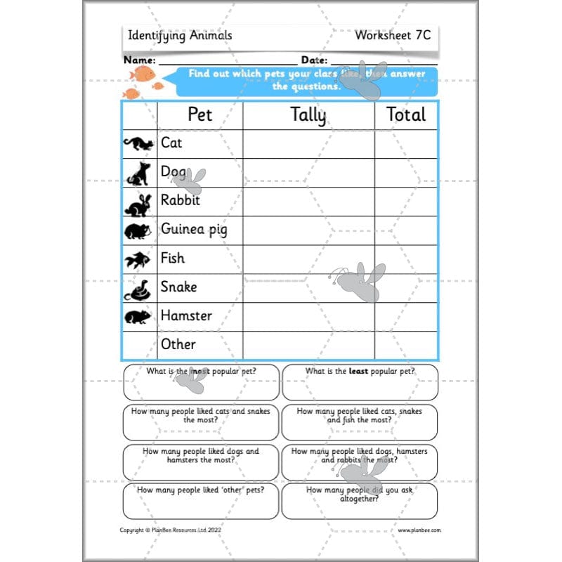 PlanBee Animals Year 1 | Science Lessons KS1 by PlanBee