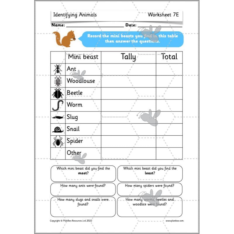 PlanBee Animals Year 1 | Science Lessons KS1 by PlanBee