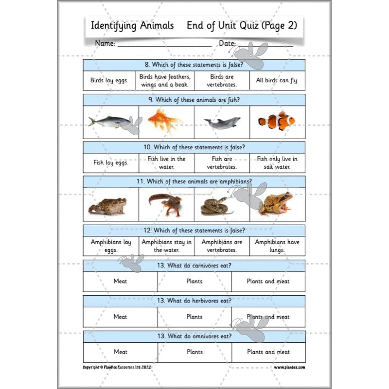 PlanBee Animals Year 1 | Science Lessons KS1 by PlanBee