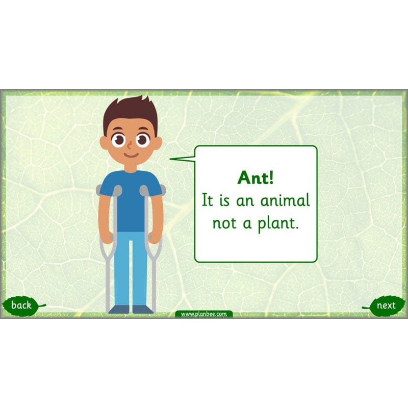 PlanBee Identifying Plants Year 1 | KS1 Plants Lessons | PlanBee