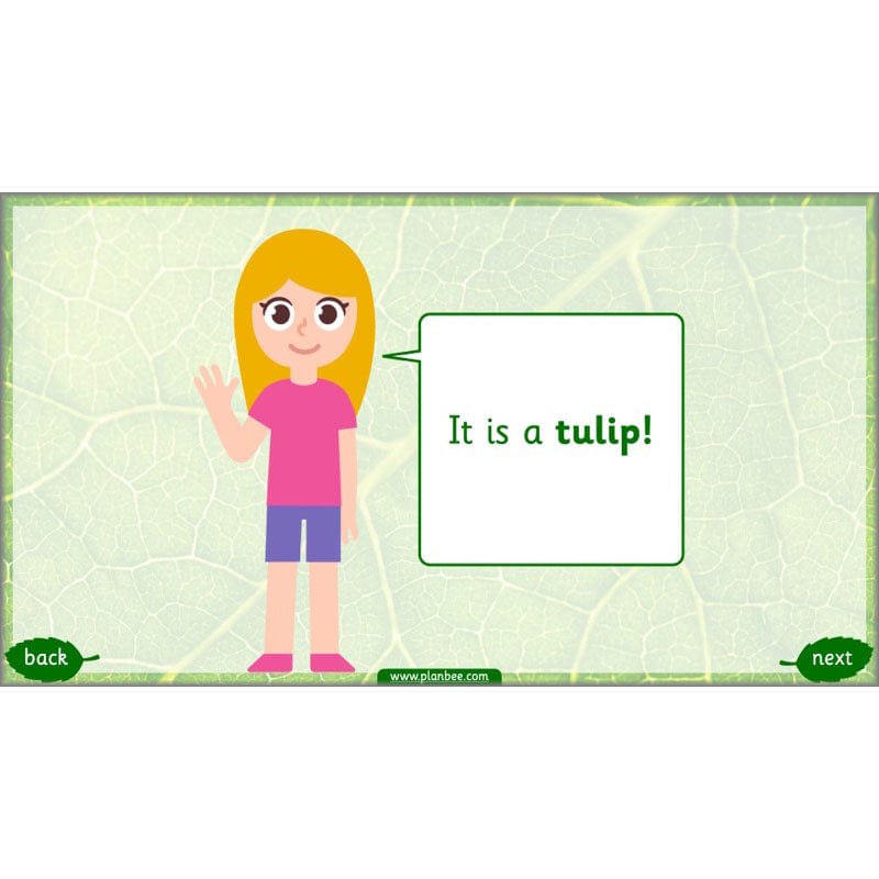 PlanBee Identifying Plants Year 1 | KS1 Plants Lessons | PlanBee
