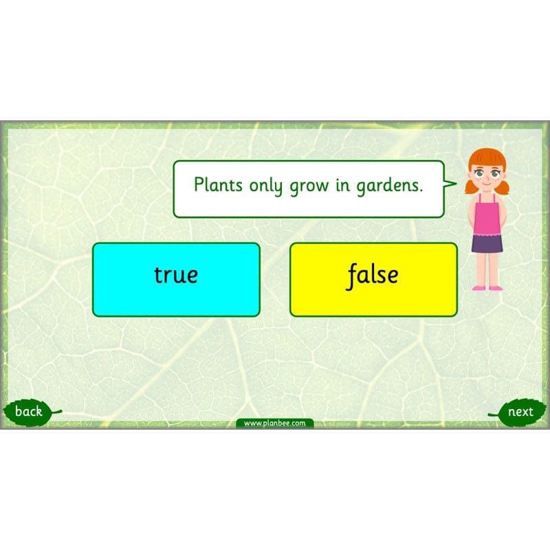 PlanBee Identifying Plants Year 1 | KS1 Plants Lessons | PlanBee
