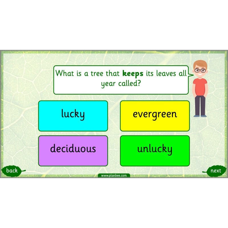 PlanBee Identifying Plants Year 1 | KS1 Plants Lessons | PlanBee