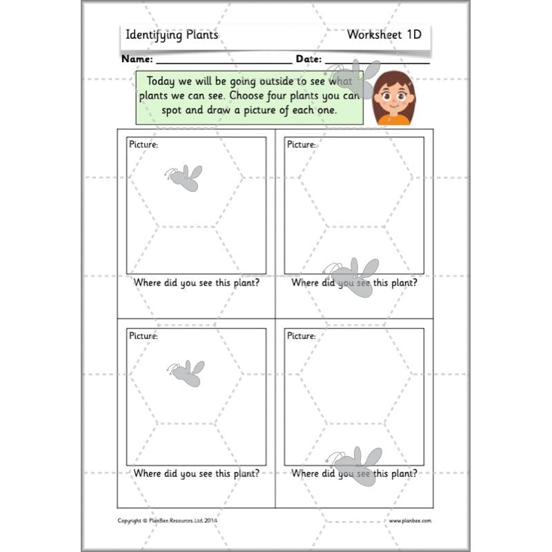 PlanBee Identifying Plants Year 1 | KS1 Plants Lessons | PlanBee