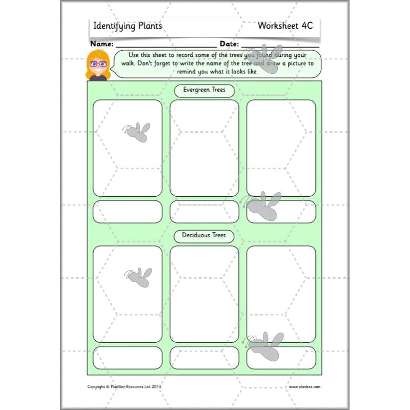 PlanBee Identifying Plants Year 1 | KS1 Plants Lessons | PlanBee