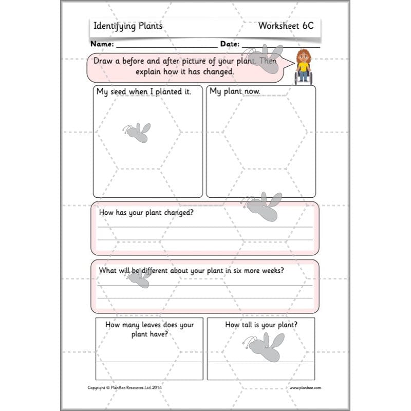 PlanBee Identifying Plants Year 1 | KS1 Plants Lessons | PlanBee