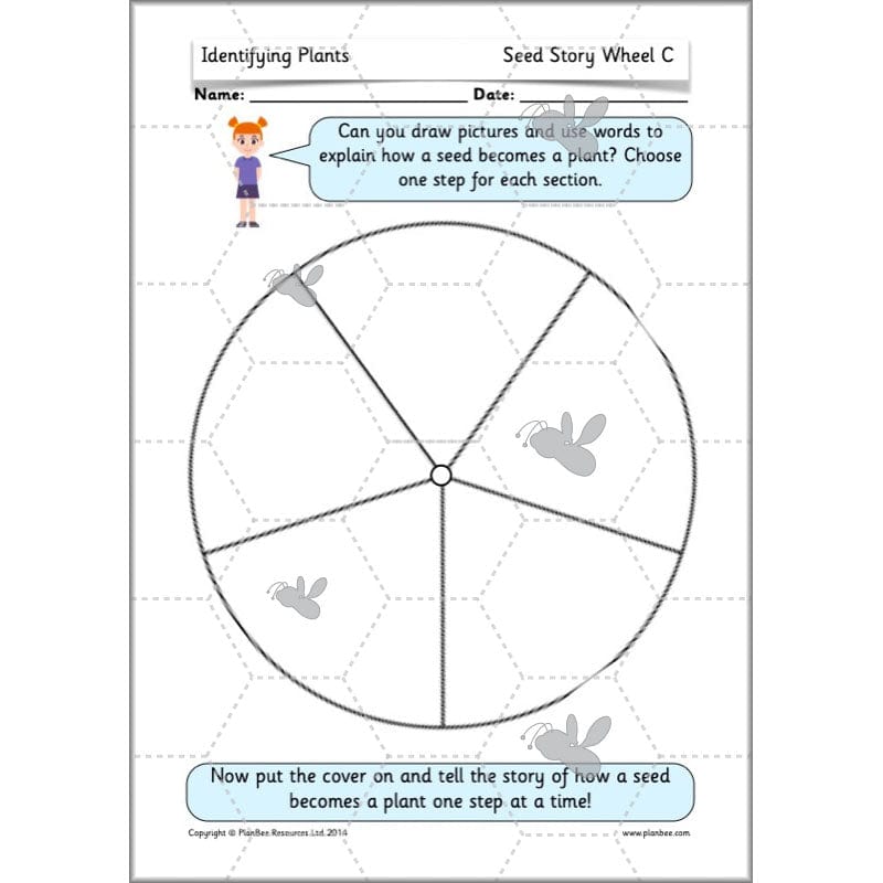 PlanBee Identifying Plants Year 1 | KS1 Plants Lessons | PlanBee