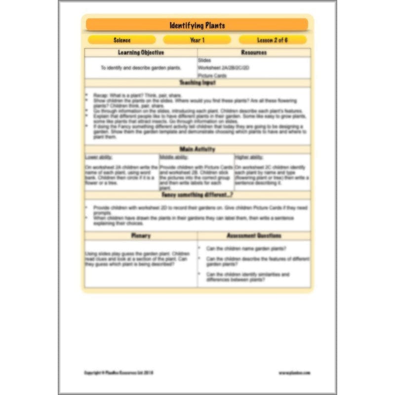 PlanBee Identifying Plants Year 1 | KS1 Plants Lessons | PlanBee