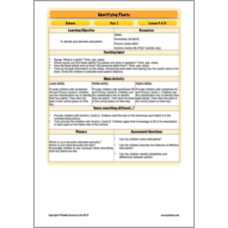 PlanBee Identifying Plants Year 1 | KS1 Plants Lessons | PlanBee