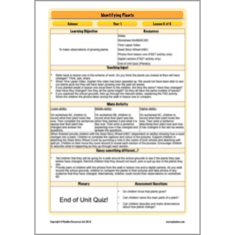 PlanBee Identifying Plants Year 1 | KS1 Plants Lessons | PlanBee