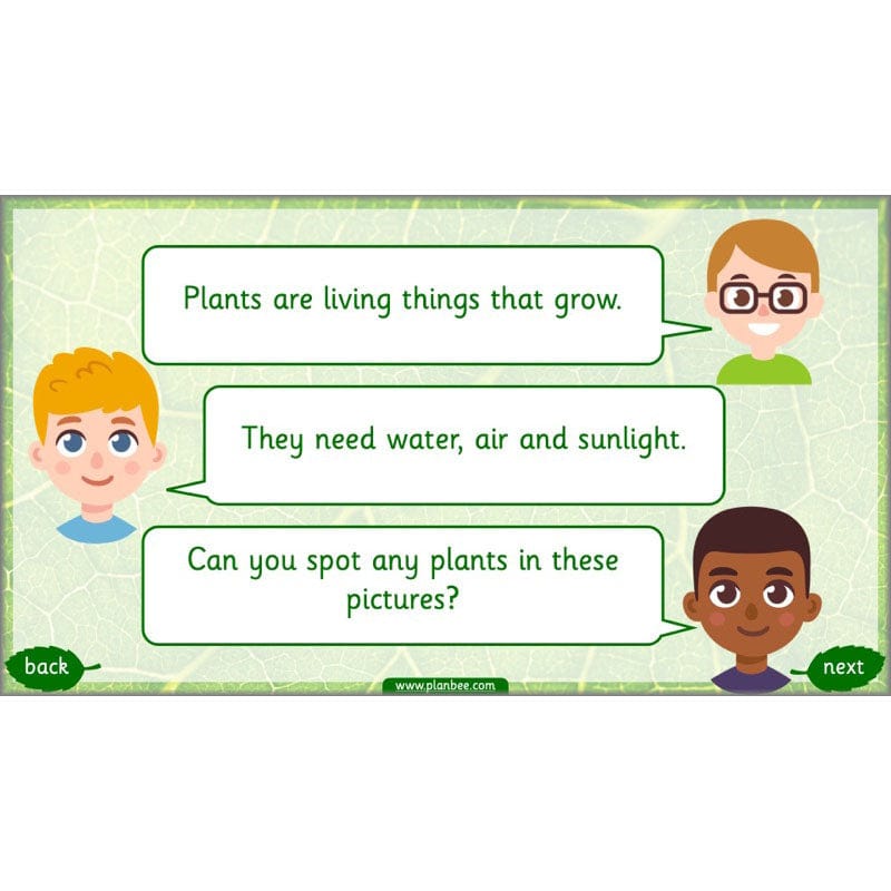 PlanBee Identifying Plants Year 1 | KS1 Plants Lessons | PlanBee