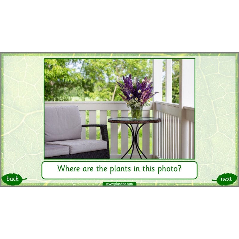 PlanBee Identifying Plants Year 1 | KS1 Plants Lessons | PlanBee
