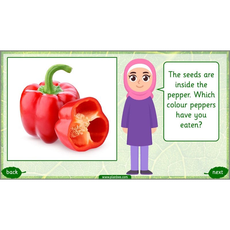 PlanBee Identifying Plants Year 1 | KS1 Plants Lessons | PlanBee
