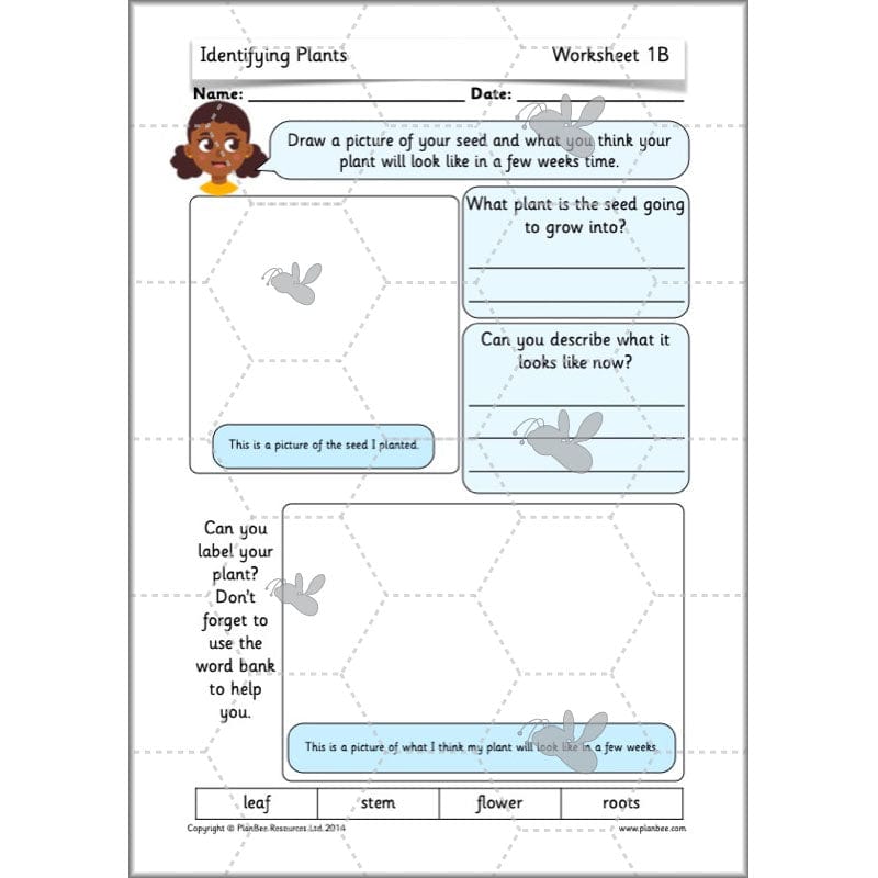 PlanBee Identifying Plants Year 1 | KS1 Plants Lessons | PlanBee