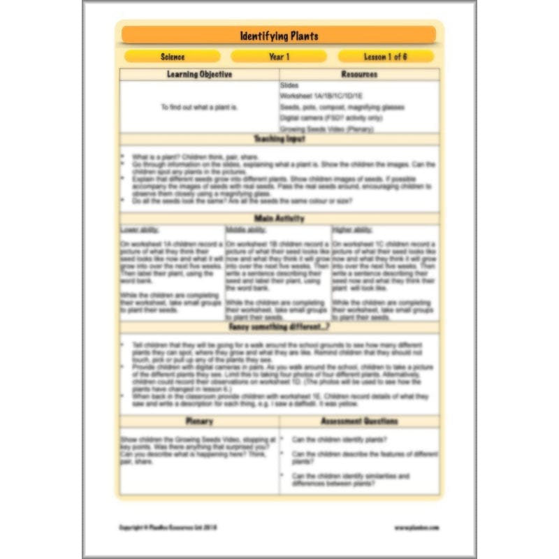 PlanBee Identifying Plants Year 1 | KS1 Plants Lessons | PlanBee