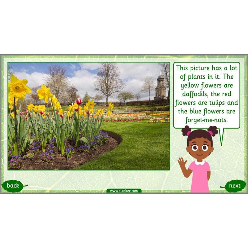 PlanBee Identifying Plants Year 1 | KS1 Plants Lessons | PlanBee