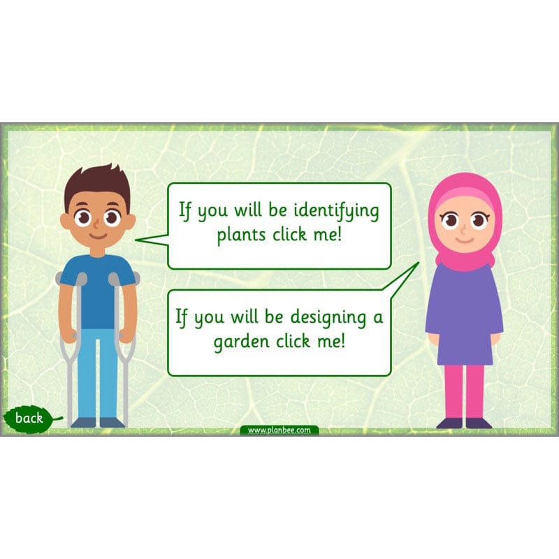PlanBee Identifying Plants Year 1 | KS1 Plants Lessons | PlanBee