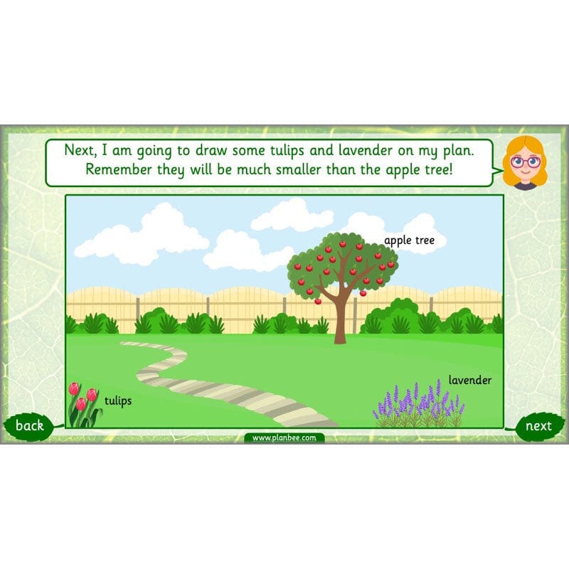 PlanBee Identifying Plants Year 1 | KS1 Plants Lessons | PlanBee