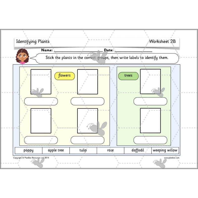 PlanBee Identifying Plants Year 1 | KS1 Plants Lessons | PlanBee