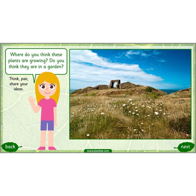 PlanBee Identifying Plants Year 1 | KS1 Plants Lessons | PlanBee