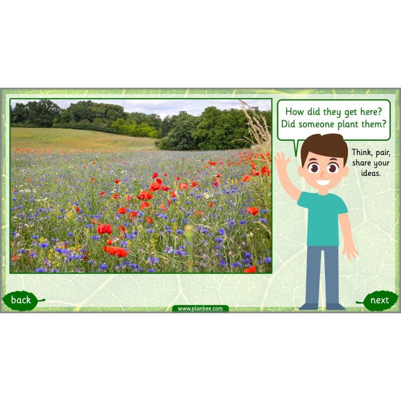 PlanBee Identifying Plants Year 1 | KS1 Plants Lessons | PlanBee