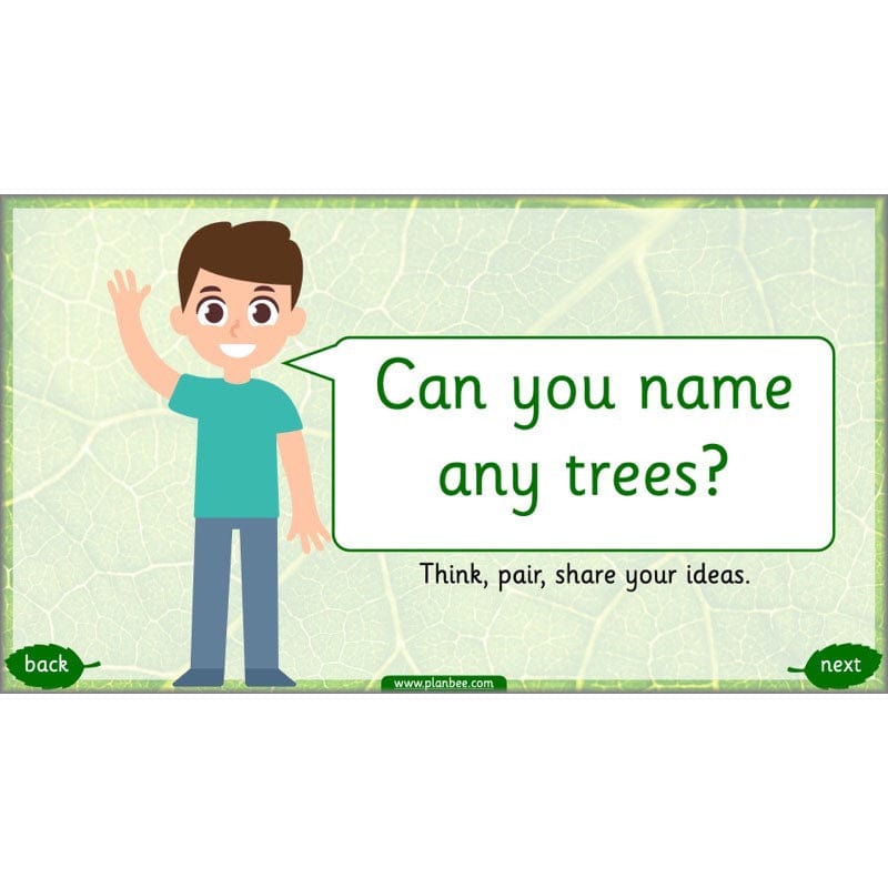 PlanBee Identifying Plants Year 1 | KS1 Plants Lessons | PlanBee