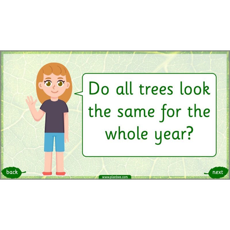 PlanBee Identifying Plants Year 1 | KS1 Plants Lessons | PlanBee