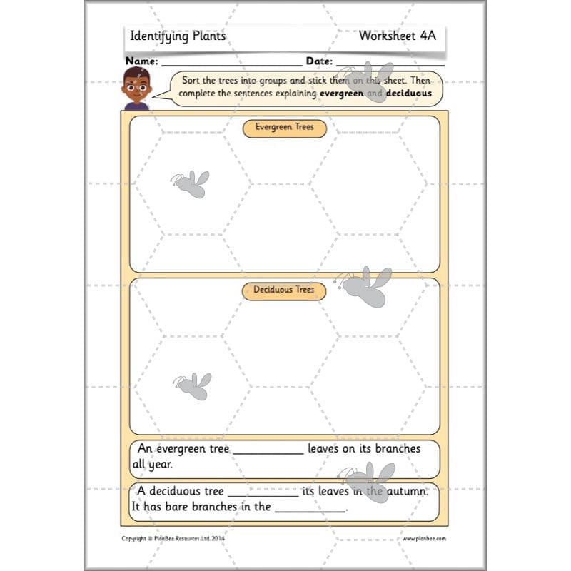 PlanBee Identifying Plants Year 1 | KS1 Plants Lessons | PlanBee