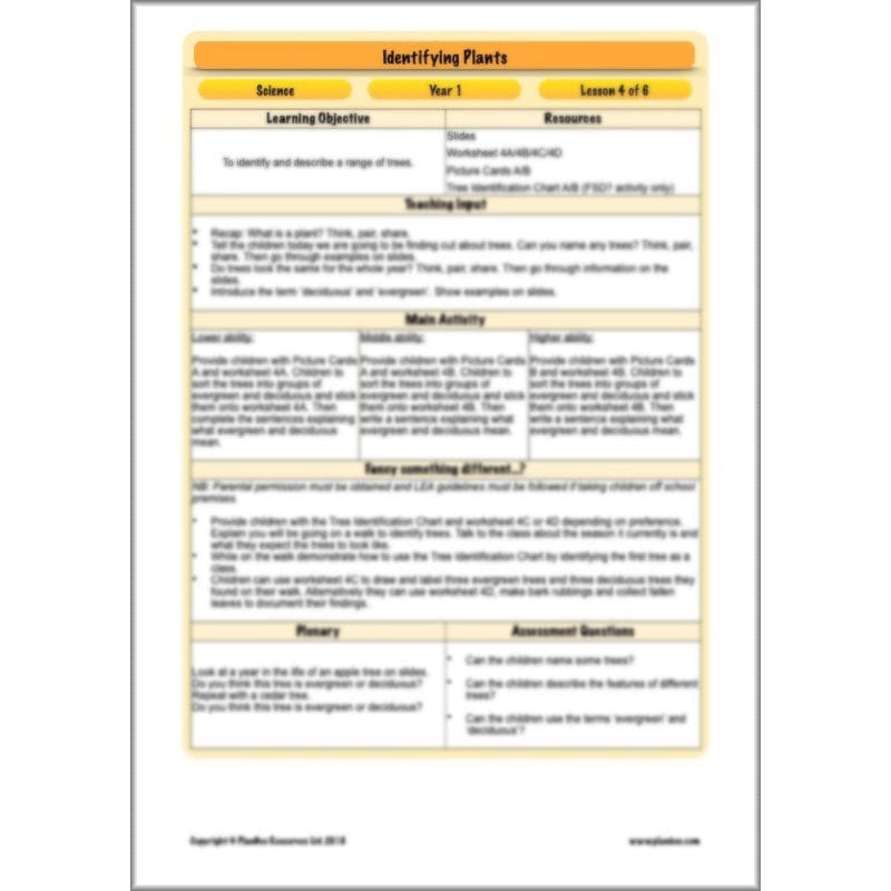 PlanBee Identifying Plants Year 1 | KS1 Plants Lessons | PlanBee