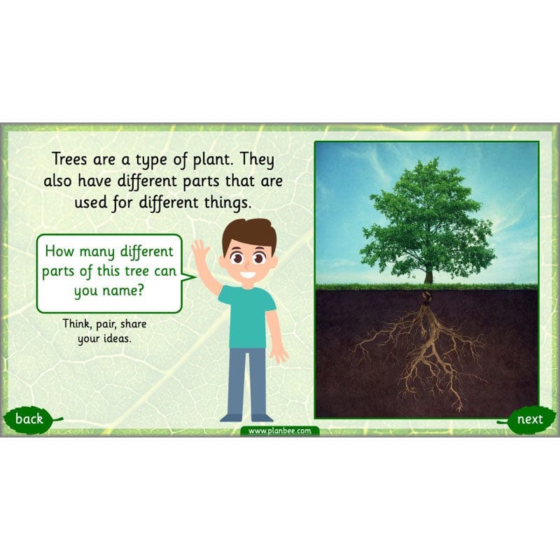 PlanBee Identifying Plants Year 1 | KS1 Plants Lessons | PlanBee
