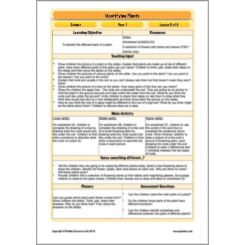 PlanBee Identifying Plants Year 1 | KS1 Plants Lessons | PlanBee